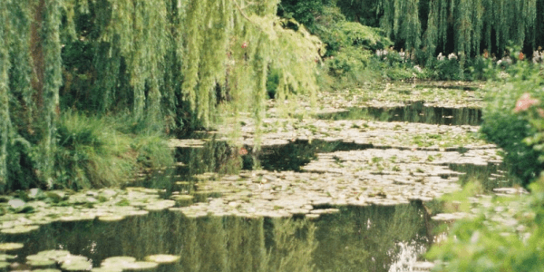 main__bg